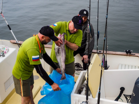 Фото-репортаж: Азарт, выдержка и богатые уловы: рыбаки-любители Приморья сразились в открытом море