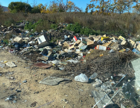 Фото-репортаж: Приморская тайга тонет в мусоре