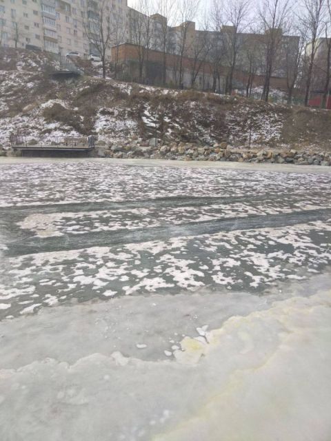 Фото-репортаж: Фекалии или теплоноситель: озеро в зоне отдыха во Владивостоке покрылось подозрительным льдом