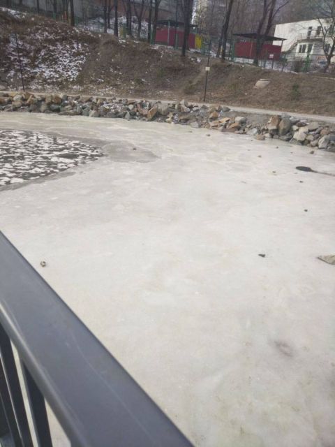 Фото-репортаж: Фекалии или теплоноситель: озеро в зоне отдыха во Владивостоке покрылось подозрительным льдом