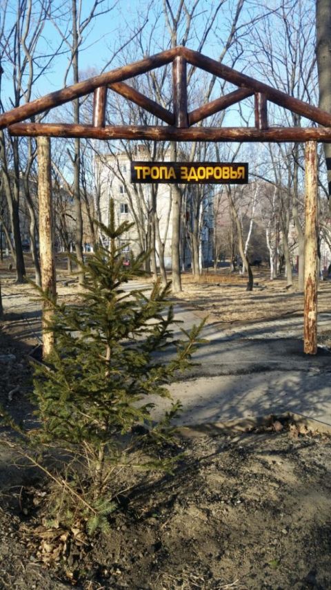 Фото-репортаж: Две недели до приёмки: на "Тропе здоровья" в Находке с апреля не могут уложить асфальт