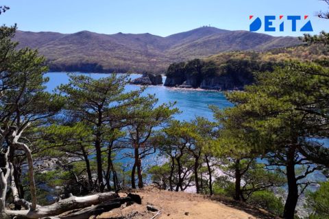 Фото-репортаж: Цифровой портрет приморского туриста создали с помощью больших данных