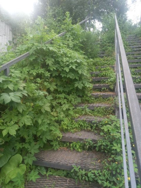 Фото-репортаж: Историческое место в ужасном состоянии: во Владивостоке игнорируют решение Путина