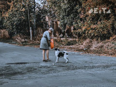 Фото-репортаж: Приморская свадьба в зоне СВО – фоторепортаж