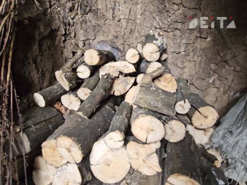 Фото-репортаж: Приморская свадьба в зоне СВО – фоторепортаж