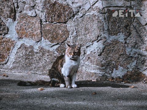 Фото-репортаж: Приморская свадьба в зоне СВО – фоторепортаж
