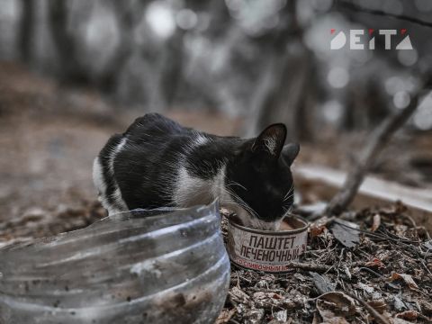 Фото-репортаж: Приморская свадьба в зоне СВО – фоторепортаж