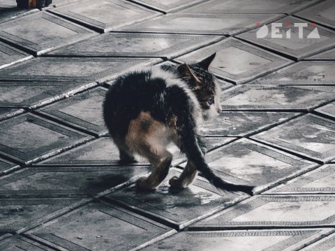 Фото-репортаж: Приморская свадьба в зоне СВО – фоторепортаж