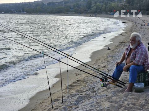 Фото-репортаж: Приморская свадьба в зоне СВО – фоторепортаж