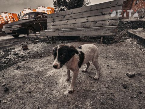 Фото-репортаж: Приморская свадьба в зоне СВО – фоторепортаж