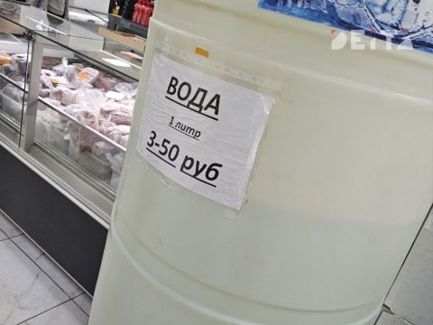 Фото-репортаж: Приморская свадьба в зоне СВО – фоторепортаж