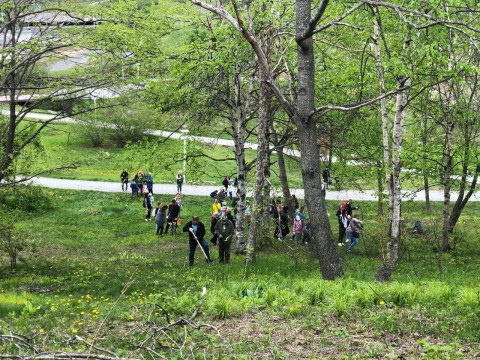 Фото-репортаж: Кедр возвращается на остров Русский