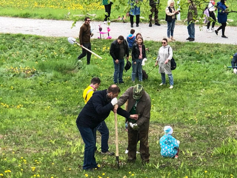 Фото-репортаж: Кедр возвращается на остров Русский