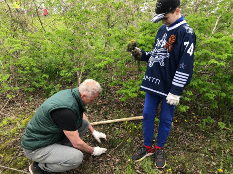 Фото-репортаж: Кедр возвращается на остров Русский