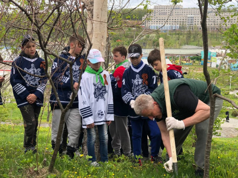Фото-репортаж: Кедр возвращается на остров Русский