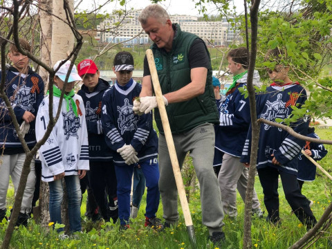 Фото-репортаж: Кедр возвращается на остров Русский