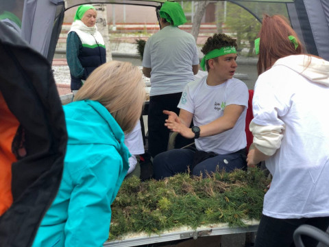 Фото-репортаж: Кедр возвращается на остров Русский