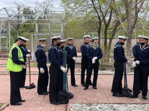 Фото-репортаж: Кедр возвращается на остров Русский