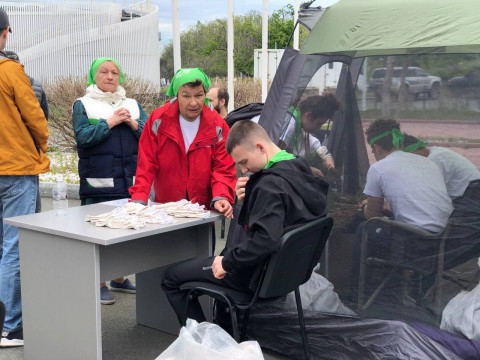 Фото-репортаж: Кедр возвращается на остров Русский