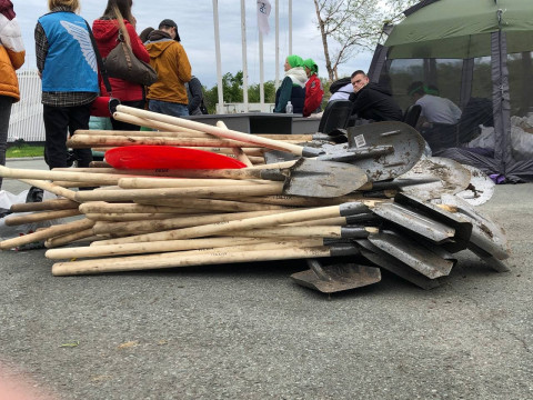 Фото-репортаж: Кедр возвращается на остров Русский