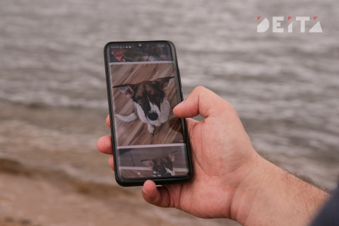 Фото-репортаж: Портрет Шестакова. Глава 2: Владивостоку нужны новые правила игры