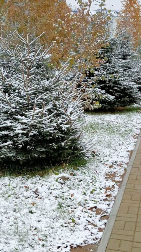 Фото-репортаж: Температура в Приморье опустилась ниже климатической нормы