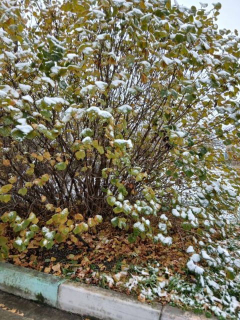 Фото-репортаж: Температура в Приморье опустилась ниже климатической нормы