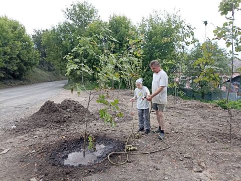 Фото-репортаж: Труды детей-инвалидов уничтожили коммунальщики Владивостока