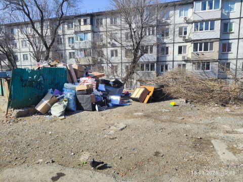 Фото-репортаж: Кто виноват в локальном мусорном коллапсе, спорят владивостокцы с мэрией