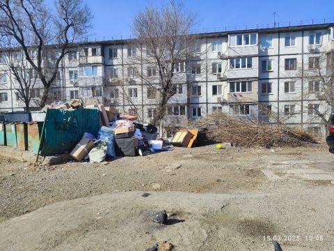 Фото-репортаж: Кто виноват в локальном мусорном коллапсе, спорят владивостокцы с мэрией