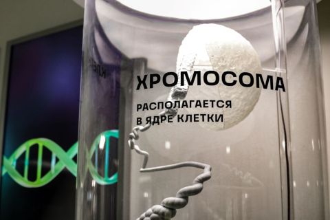 Фото-репортаж: Будущее рядом: уникальный музей биотехнологий открывается в ДВФУ