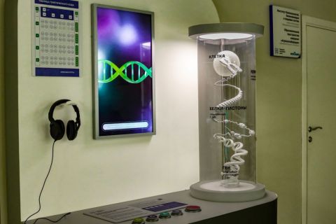 Фото-репортаж: Будущее рядом: уникальный музей биотехнологий открывается в ДВФУ