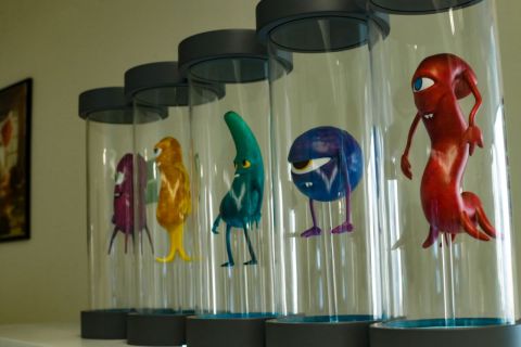 Фото-репортаж: Будущее рядом: уникальный музей биотехнологий открывается в ДВФУ