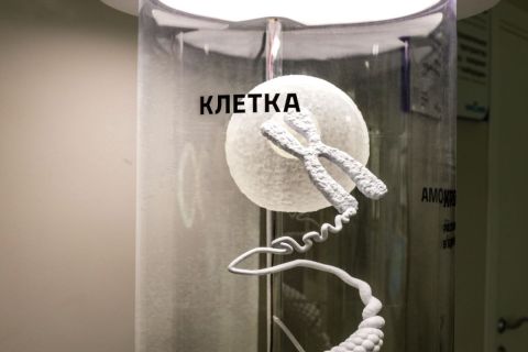 Фото-репортаж: Будущее рядом: уникальный музей биотехнологий открывается в ДВФУ