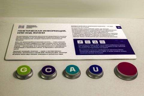 Фото-репортаж: Будущее рядом: уникальный музей биотехнологий открывается в ДВФУ