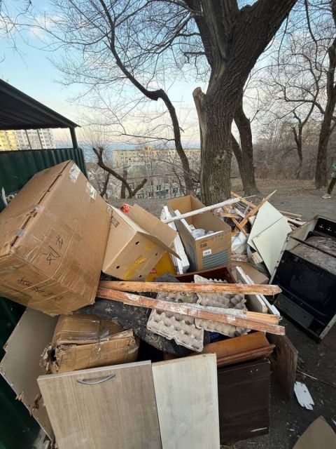 Фото-репортаж: "Скорая помощь" не успела добраться до пациента из-за переполненной мусорной площадки во Владивостоке - соцсети