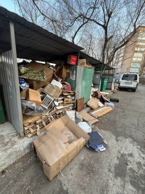 Фото-репортаж: "Скорая помощь" не успела добраться до пациента из-за переполненной мусорной площадки во Владивостоке - соцсети