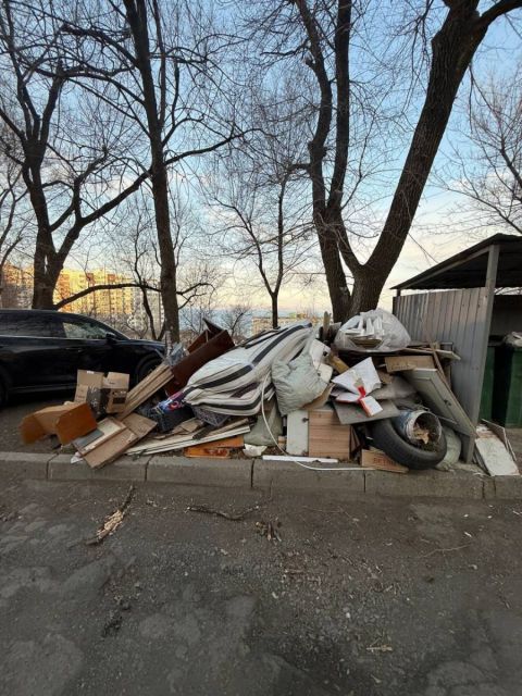 Фото-репортаж: "Скорая помощь" не успела добраться до пациента из-за переполненной мусорной площадки во Владивостоке - соцсети