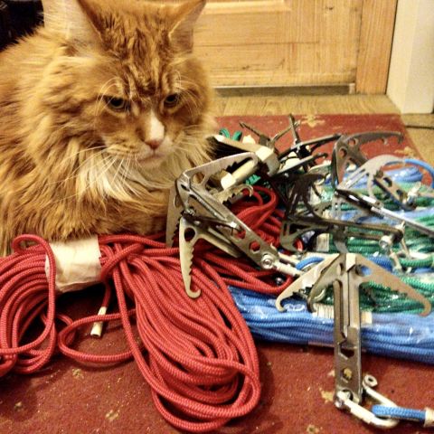 Фото-репортаж: Шьем для наших: как приморские волонтеры помогают фронту