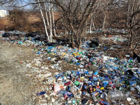 Фото-репортаж: Мусорный коллапс ухудшился в Приморье после обещания мэра его ликвидировать