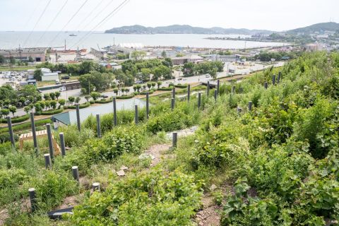 Фото-репортаж: «Скорбящая мать» в Находке обретает вторую жизнь благодаря НЗМУ