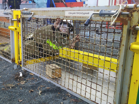 Фото-репортаж: Школьники Приморья могут попробовать разные профессии