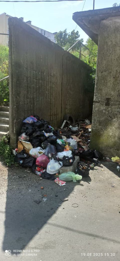 Фото-репортаж: Мусорный коллапс продолжается в домах Владивостока, где недавно бунтовали дворники