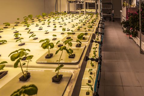 Фото-репортаж: Первый музей биотехнологий открыли во Владивостоке