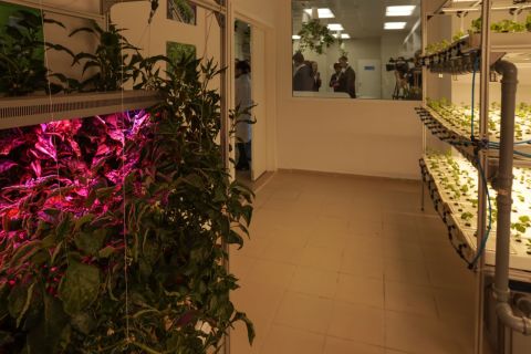 Фото-репортаж: Первый музей биотехнологий открыли во Владивостоке