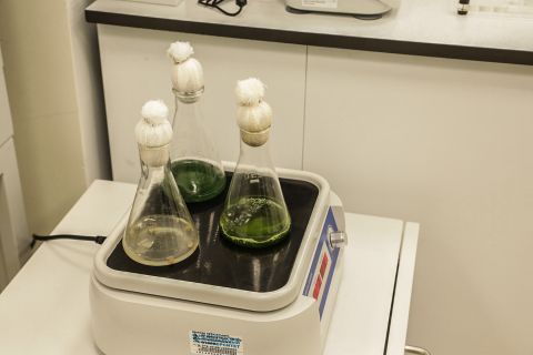 Фото-репортаж: Первый музей биотехнологий открыли во Владивостоке