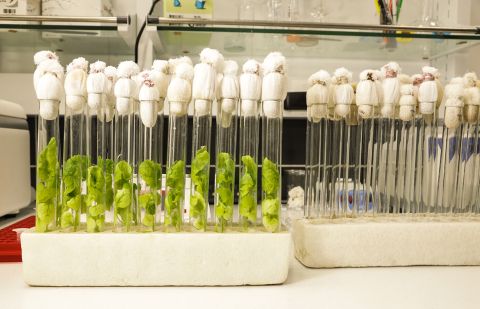 Фото-репортаж: Первый музей биотехнологий открыли во Владивостоке