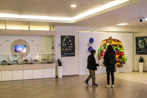 Фото-репортаж: Первый музей биотехнологий открыли во Владивостоке