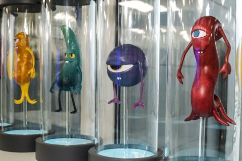 Фото-репортаж: Первый музей биотехнологий открыли во Владивостоке