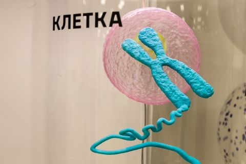 Фото-репортаж: Первый музей биотехнологий открыли во Владивостоке